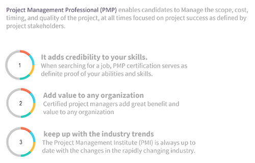 Project Management Professional (PMP)