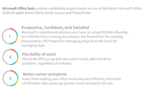 Microsoft Office Suite