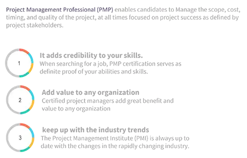 Project Management Professional (PMP)